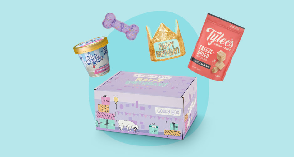dog birthday box