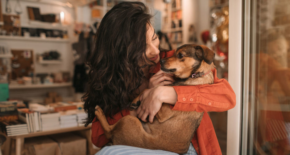 Coronavirus and Pets Pet Care Tips During COVID19 Quarantine