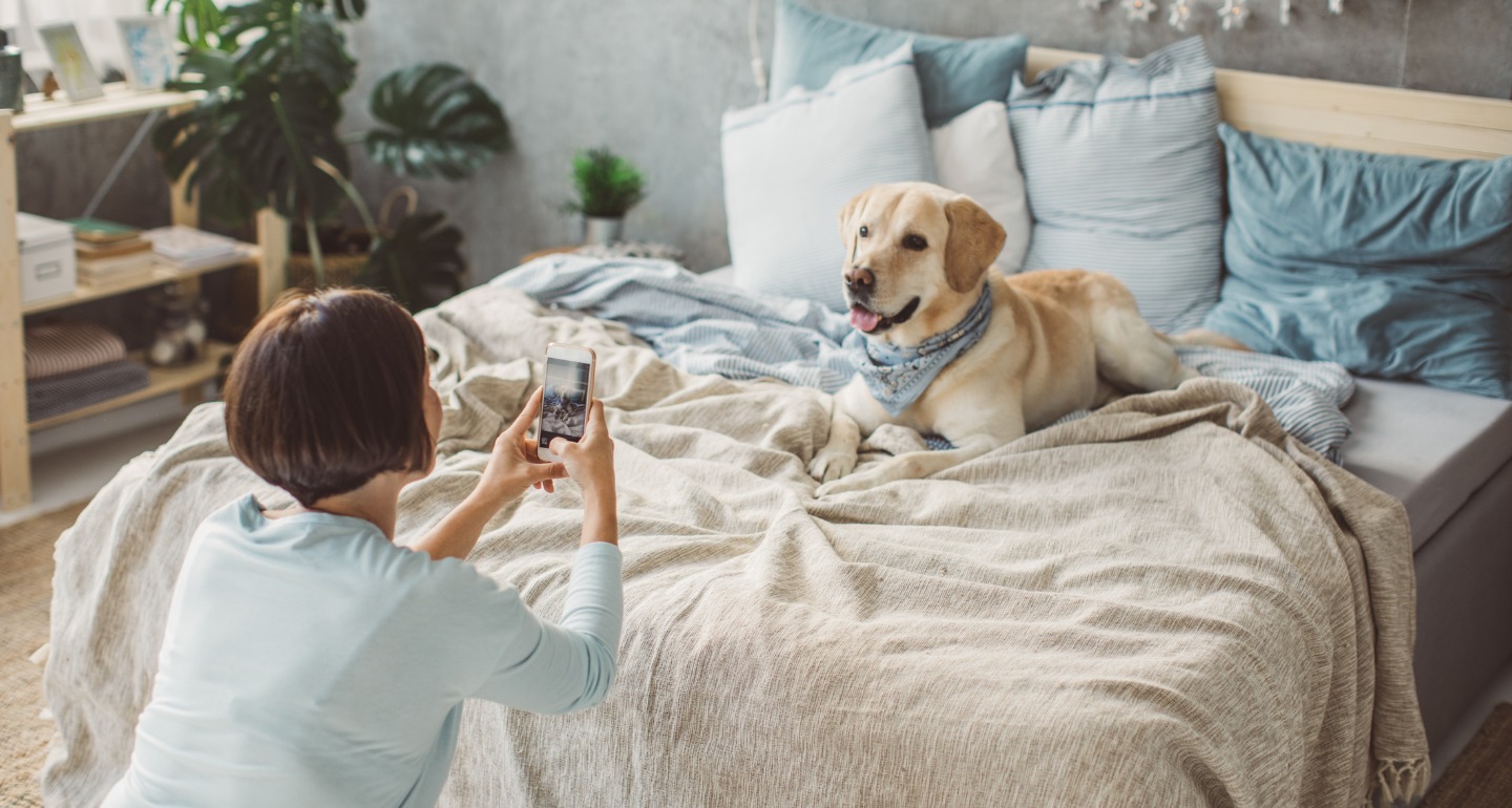 dog facetime treat dispenser