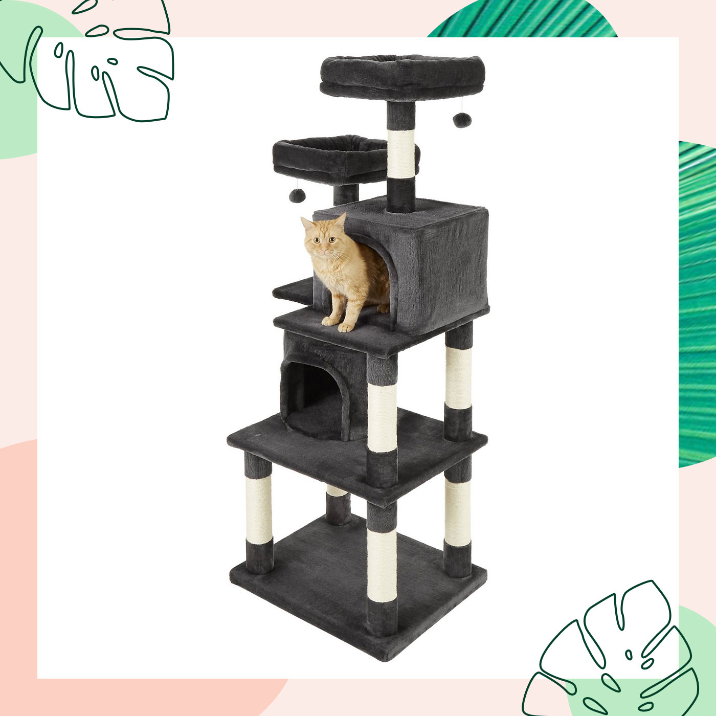 best cat trees