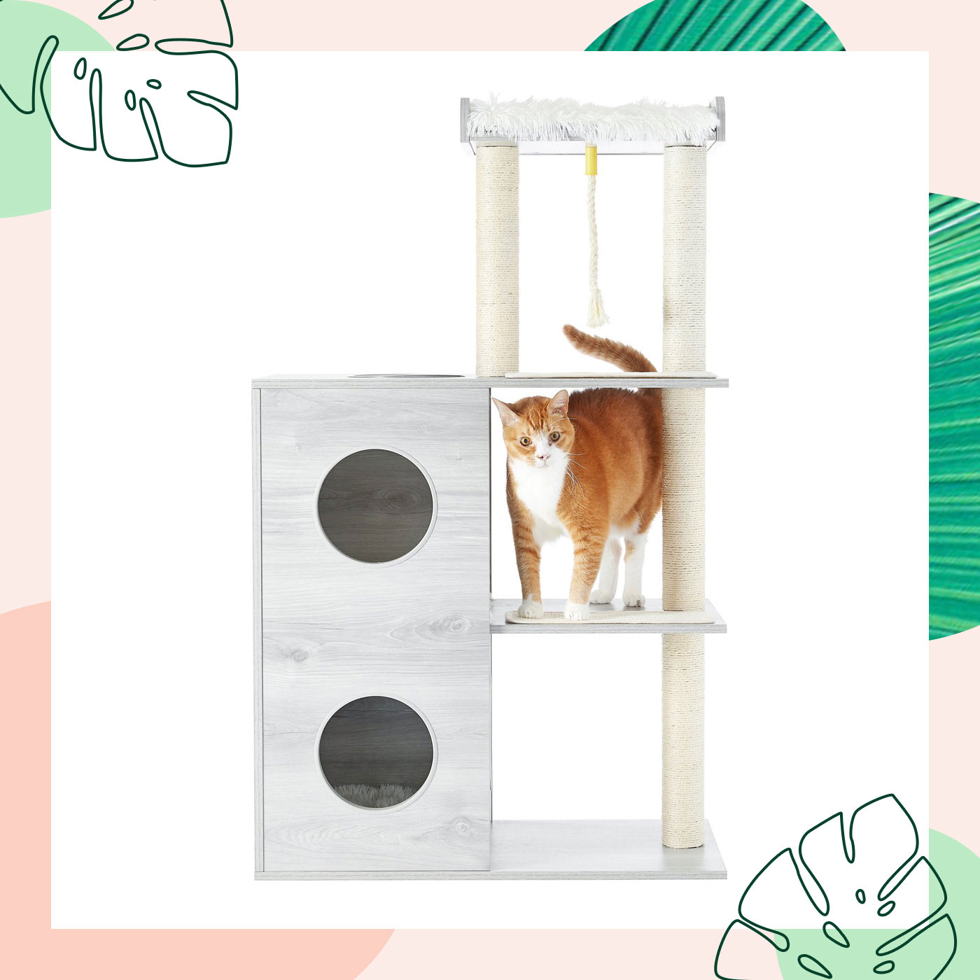 best cat trees