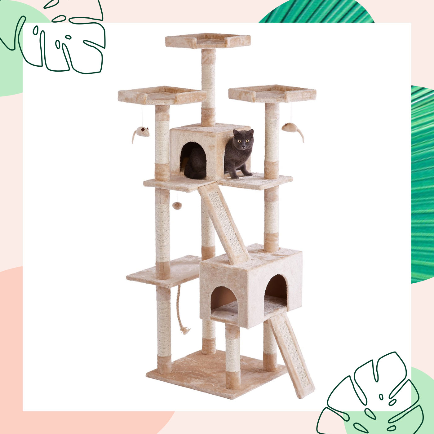best cat trees