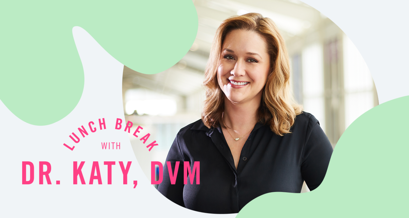 Vet Q&A With Dr. Katy Nelson Pet Grooming During COVID19