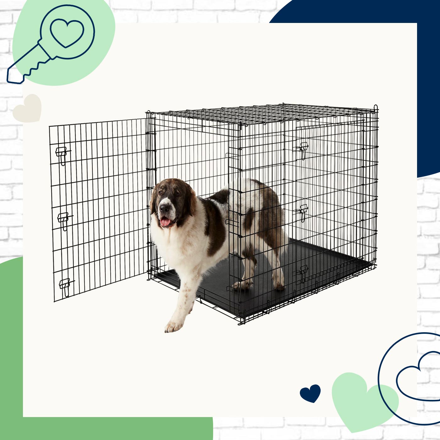 best dog crate