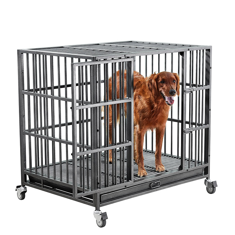 Buying Guide How to Choose the Best Dog Crate for Your Pet