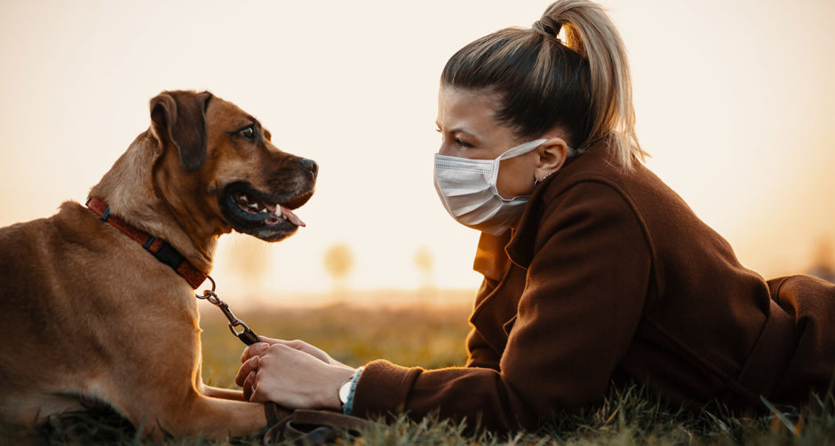 Coronavirus How to Stay Safe During Outdoor Activities With Your Dog