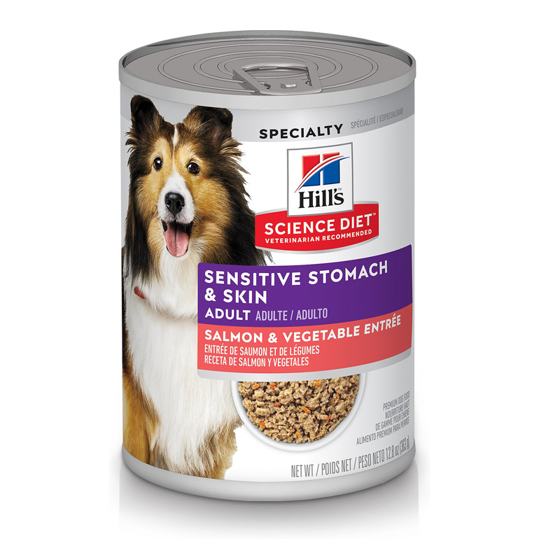 What Is the Best Dog Food for Your Dog? Pet Central by Chewy