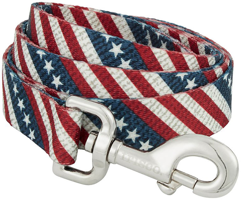 4th of July Dog Outfits - leash