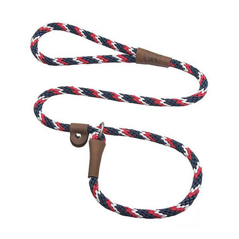 4th of July Dog Outfits - slip lead