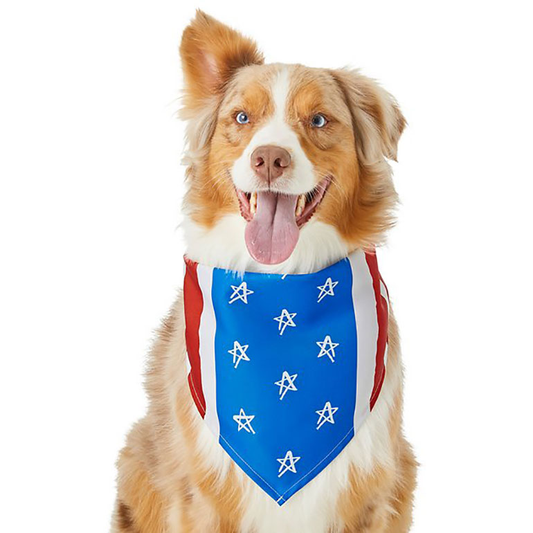4th of July Dog bandana
