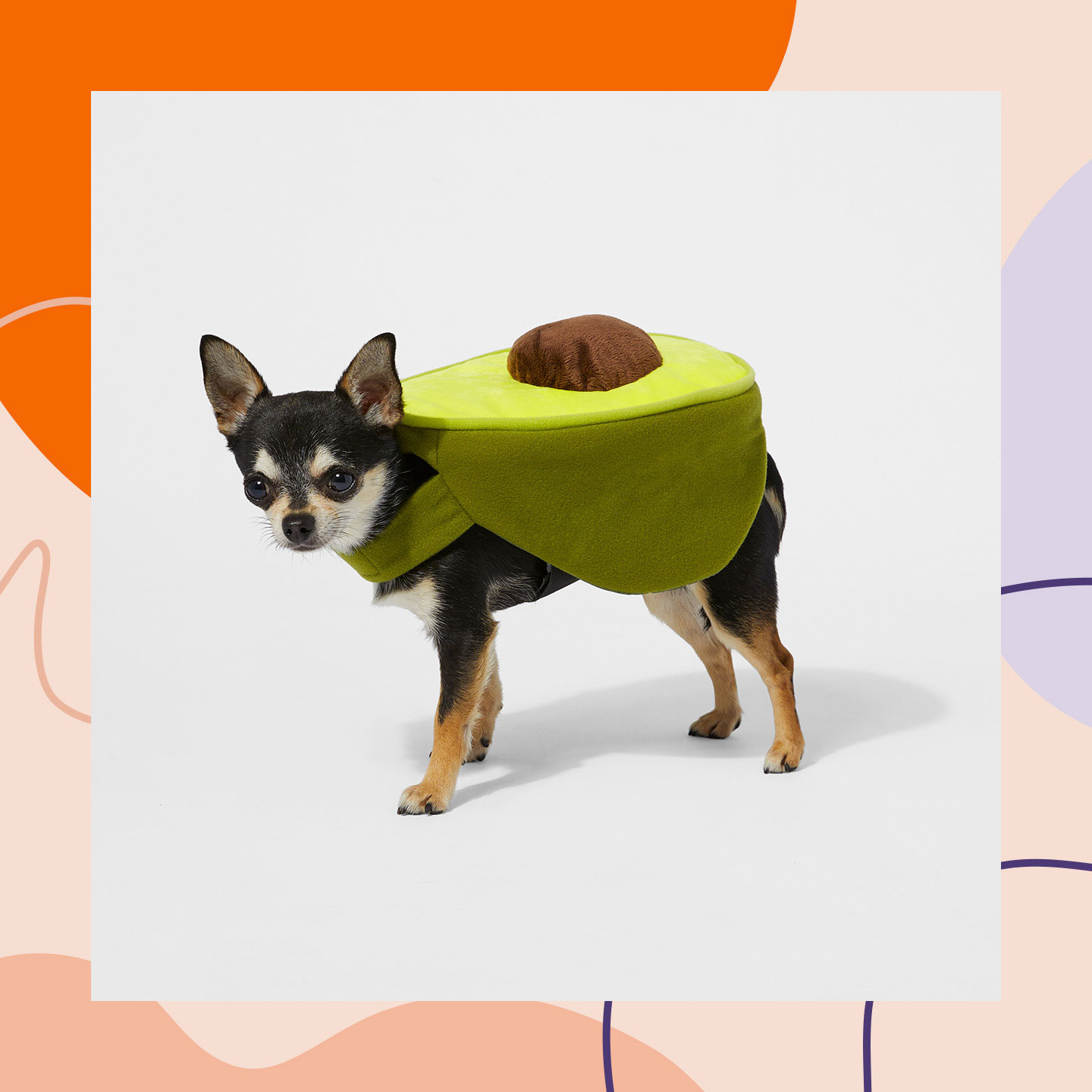 killer doll dog costume