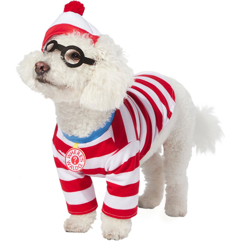 Buying Guide The Best Dog Halloween Costumes for 2020