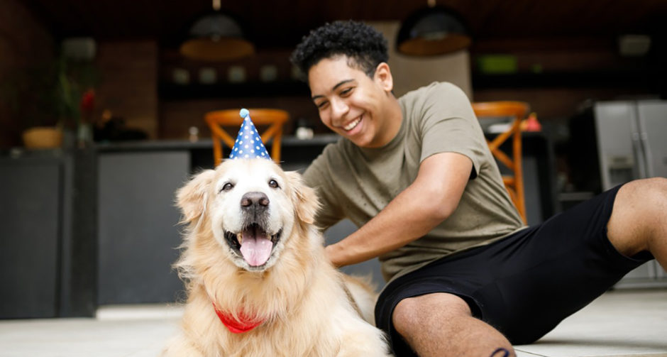 universal shelter dog birthday