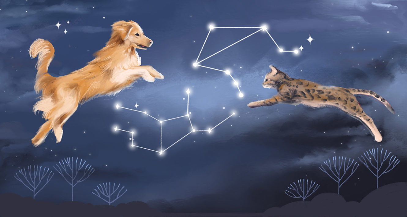 Your September Monthly Horoscope—and What It Means for Your Pet