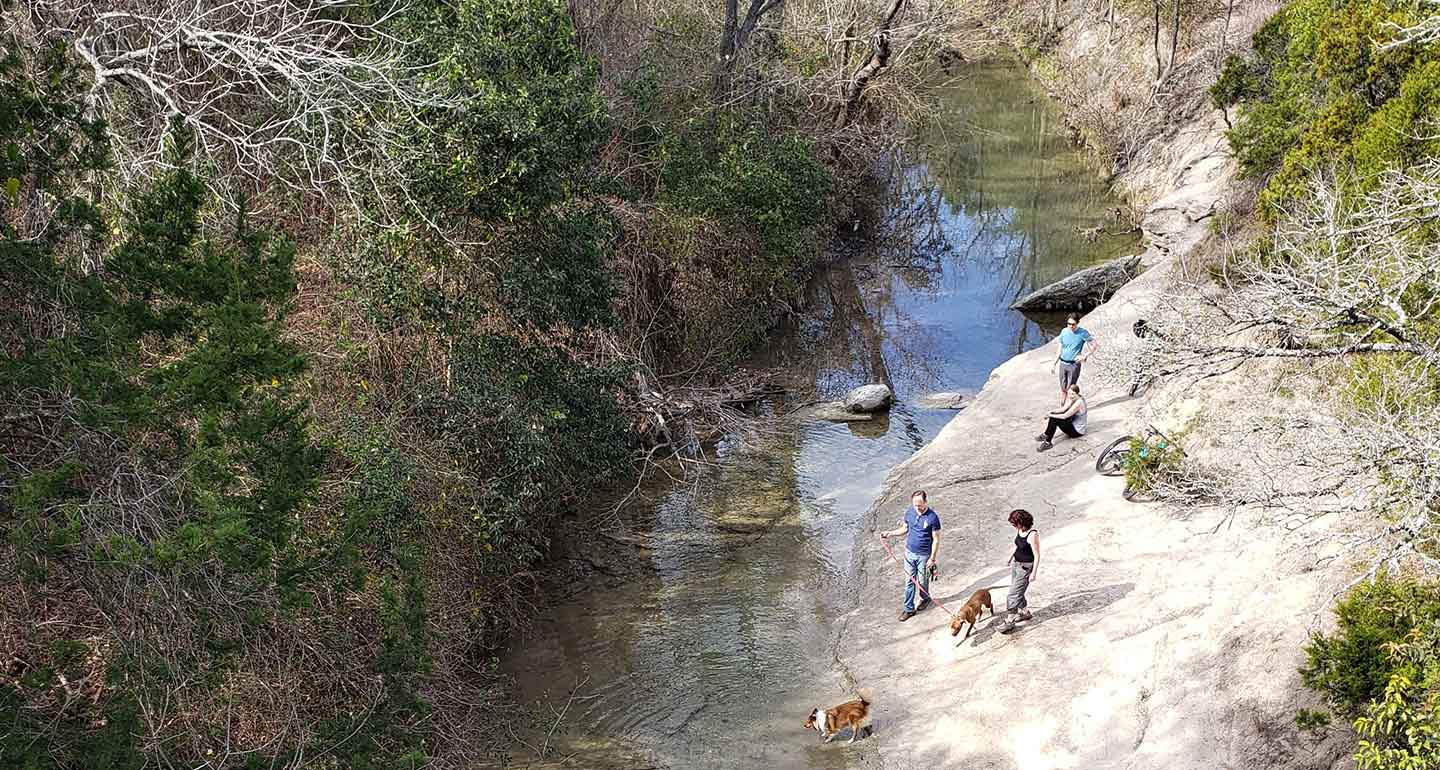 dog-friendly hikes
