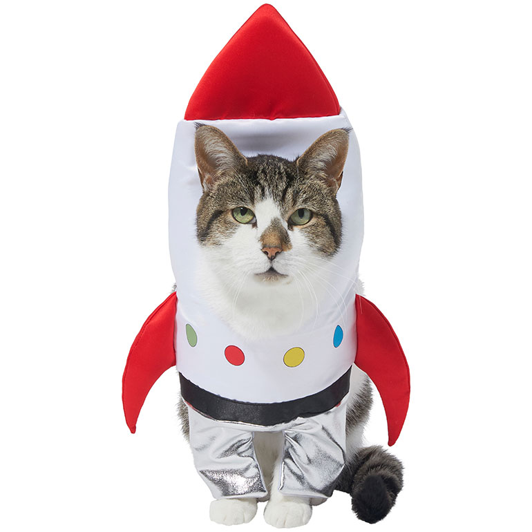 Buying Guide How To Choose The Best Pet Halloween Costumes For Cats