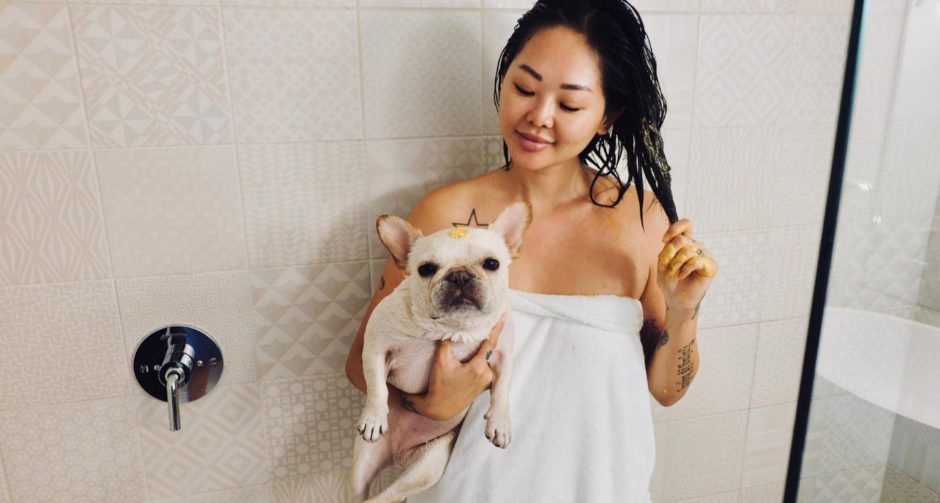 can you use regular conditioner on dogs