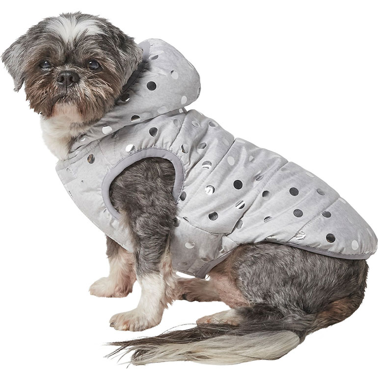 Shop the Trendiest Fall Fashions for Dogs and Cats, Hot Off the Runway