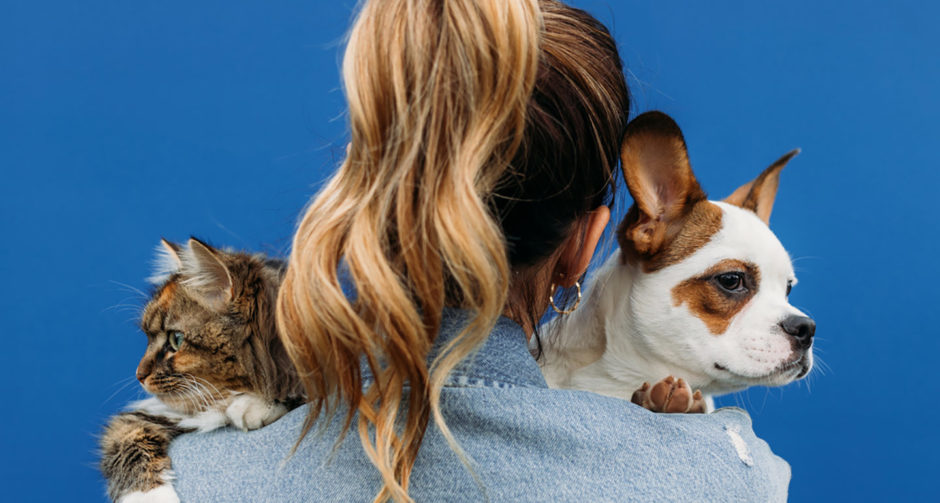 This “What Pet Should I Get?” Quiz Will Pick the Best