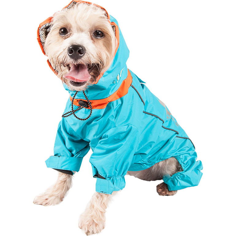 Buying Guide Best Dog Winter Clothes 2020/2021