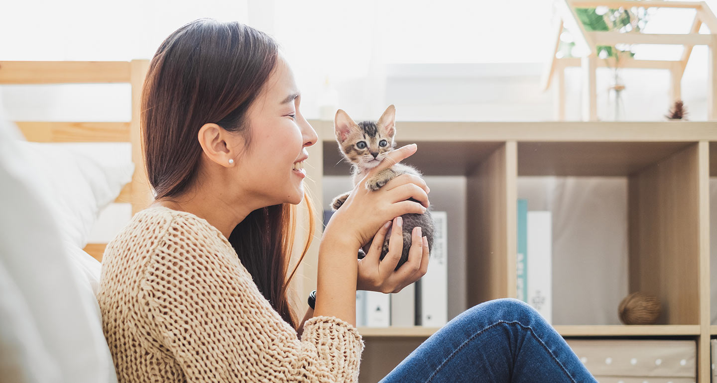 when can kittens be adopted