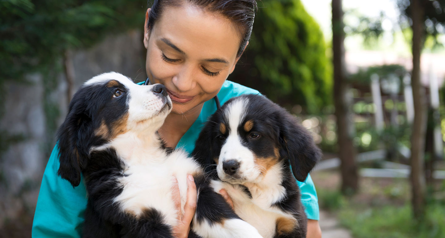 iStock.com/simarik