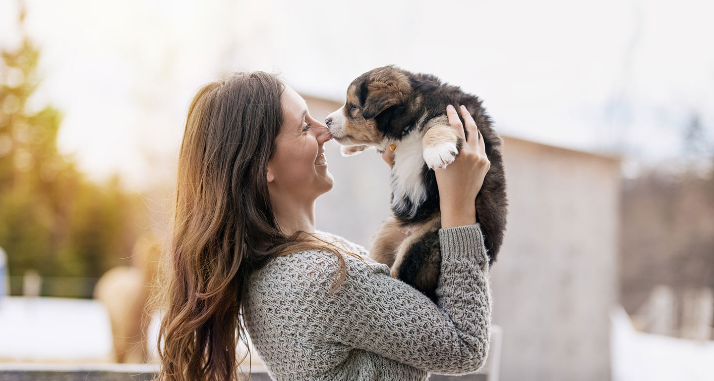 questions to ask a dog breeder