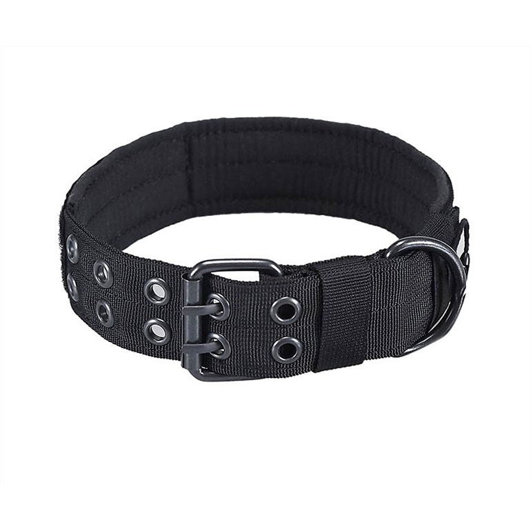 Buying Guide Choosing the Best Dog Collars for Every Pup