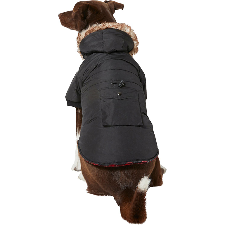 How to Make Walking Dogs in Winter Enjoyable (or at Least Bearable)