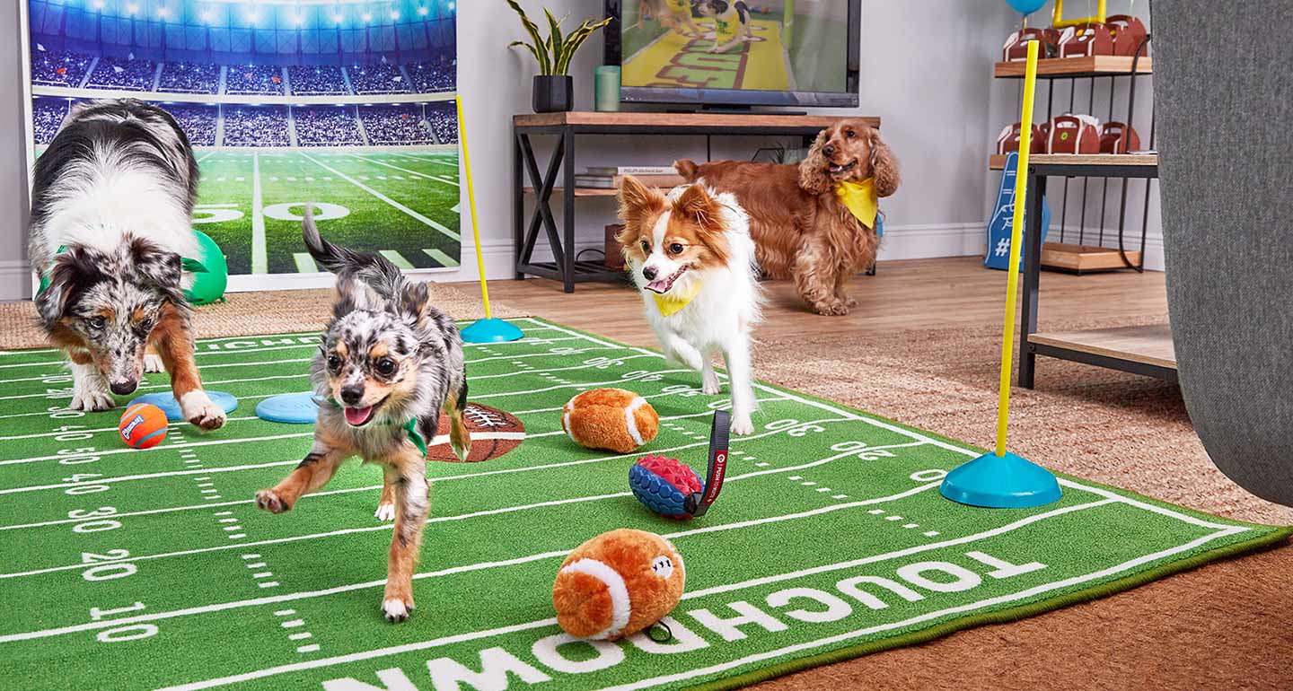 How to Throw the Ultimate Puppy Bowl Party