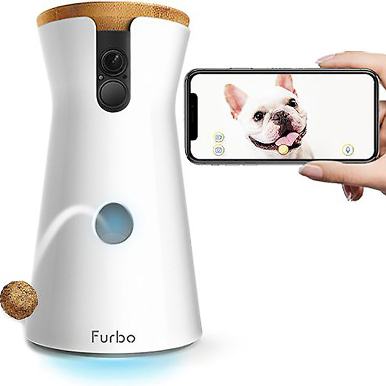 pet tech - pet cameras