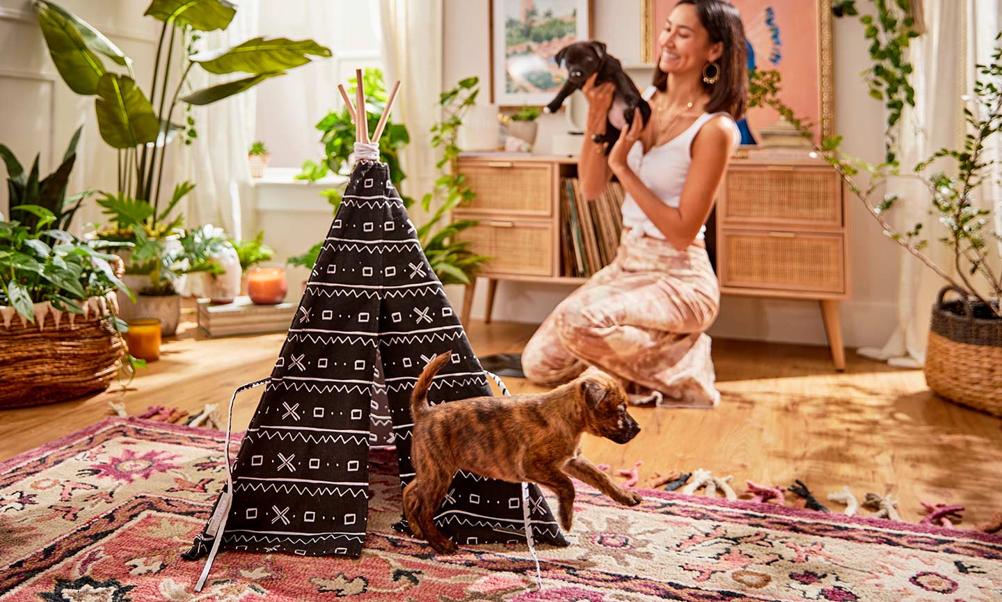 cute monogrammed dog beds