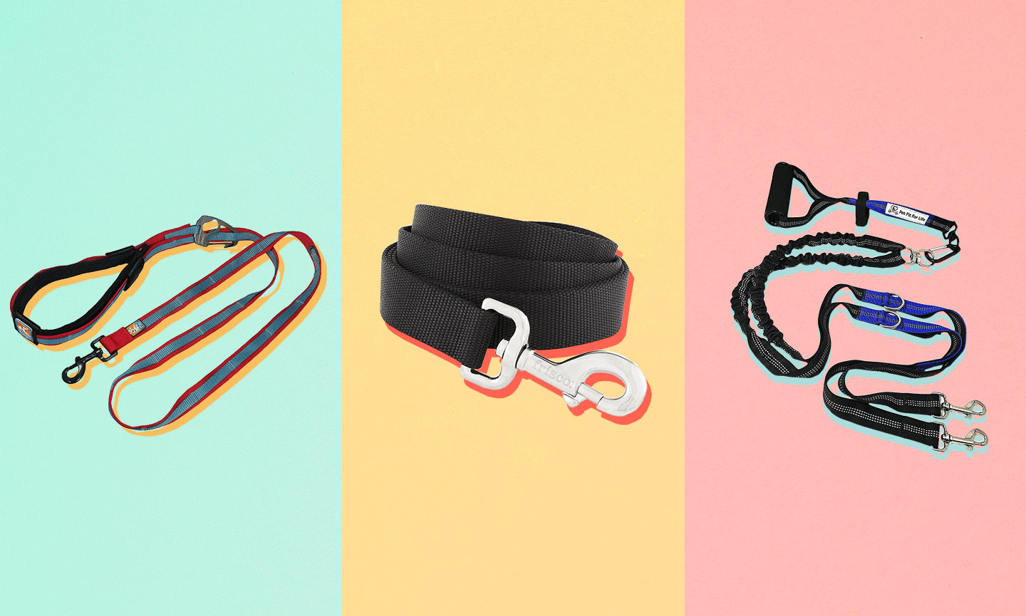 Buying Guide How to Shop for the Best Dog Leash BeChewy
