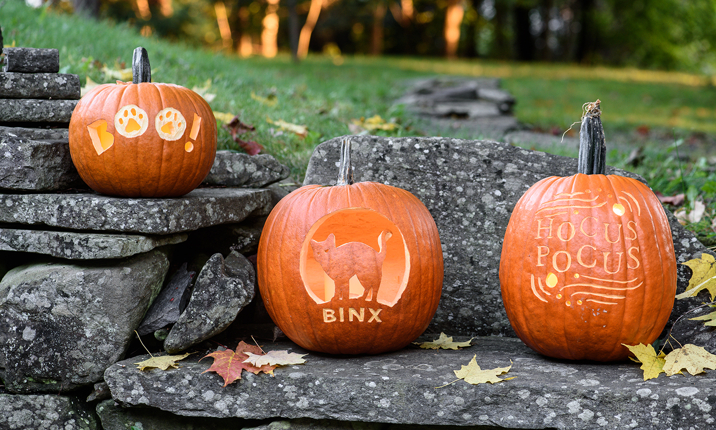 8 Printable 'Hocus Pocus' Pumpkin Stencils for Halloween | BeChewy