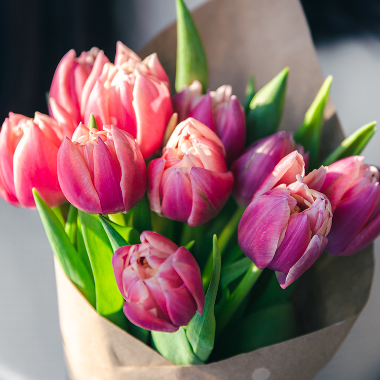 Plants Poisonous to Dogs 10 Plants Toxic to Pups BeChewy