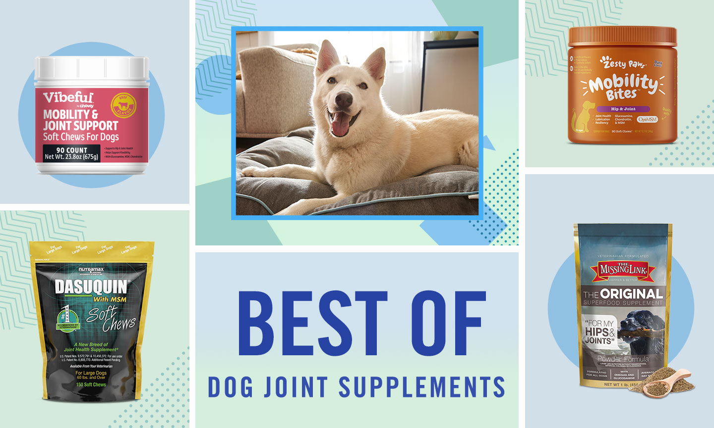 Best Joint Supplements for Dogs As Rated By Chewy Customers BeChewy