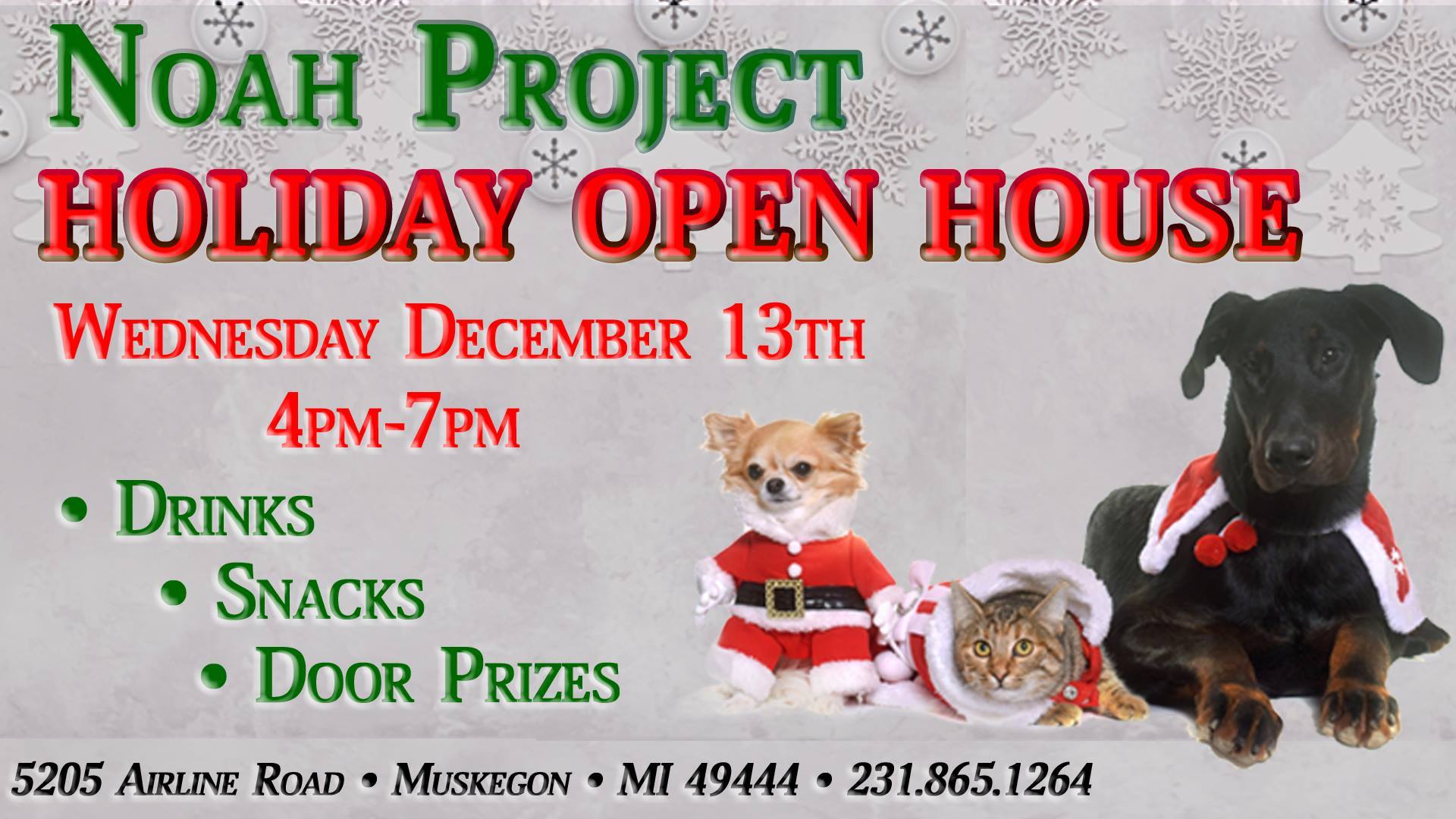 noah project petfinder