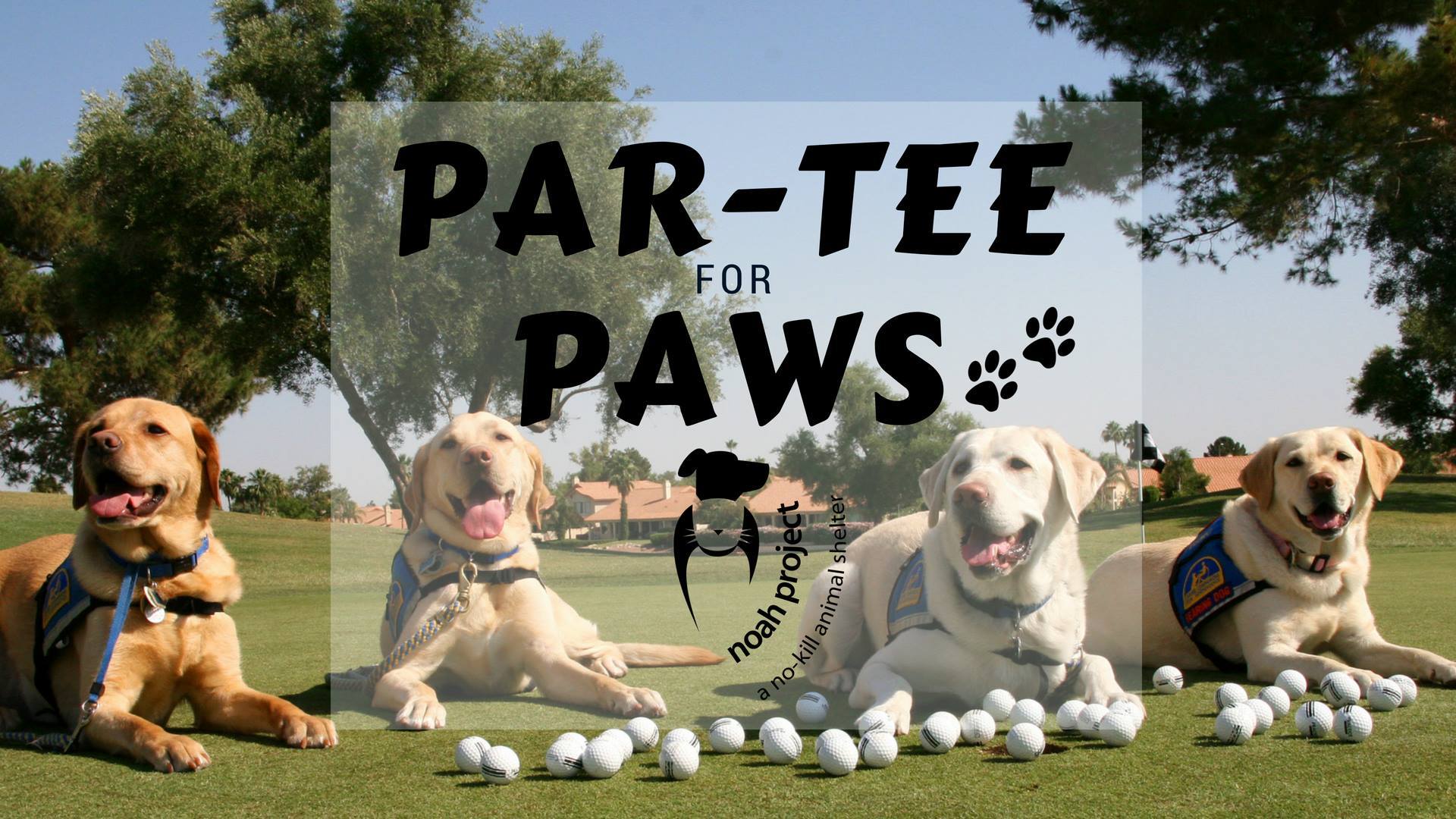 noah project petfinder