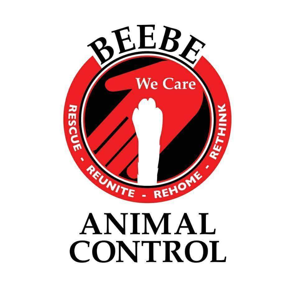 Pets for Adoption at Beebe Animal Control, in Beebe, AR Petfinder