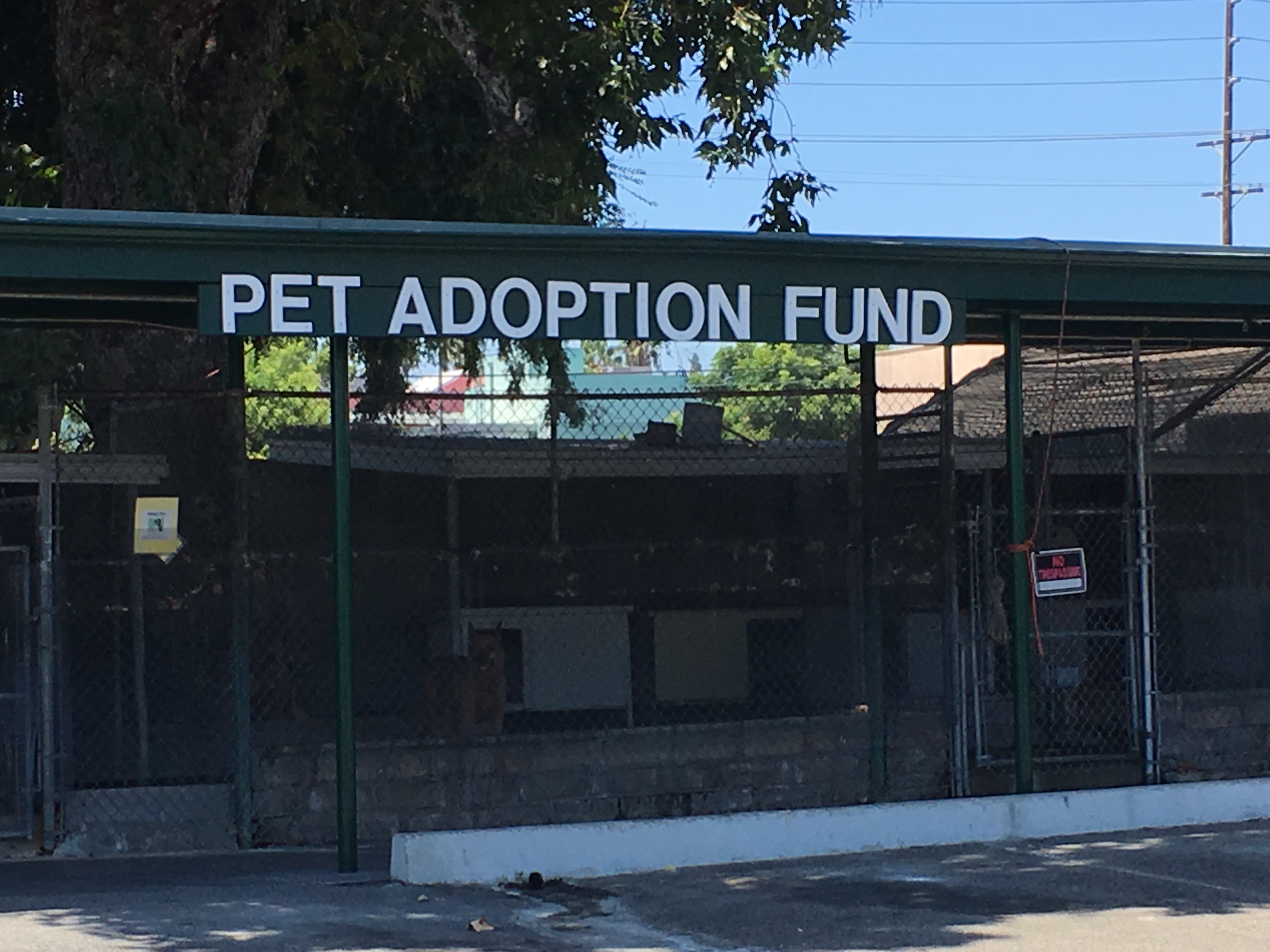 Pets for Adoption at Pet Adoption Fund, in Canoga Park, CA Petfinder
