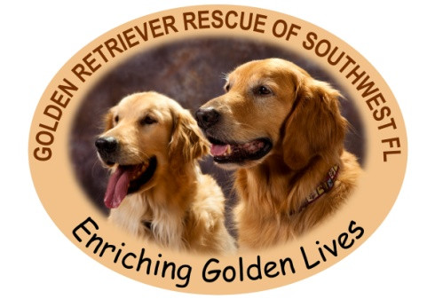 Pets For Adoption At Golden Retriever Rescue Of Southwest Florida