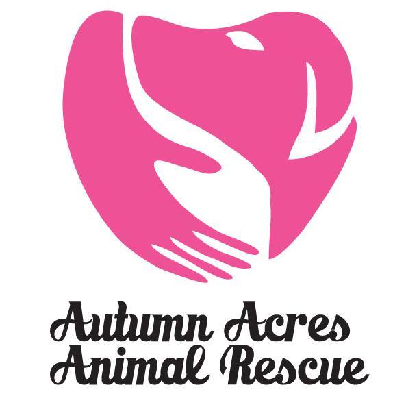 Pets For Adoption At Autumn Acres In Richmond Mo Petfinder