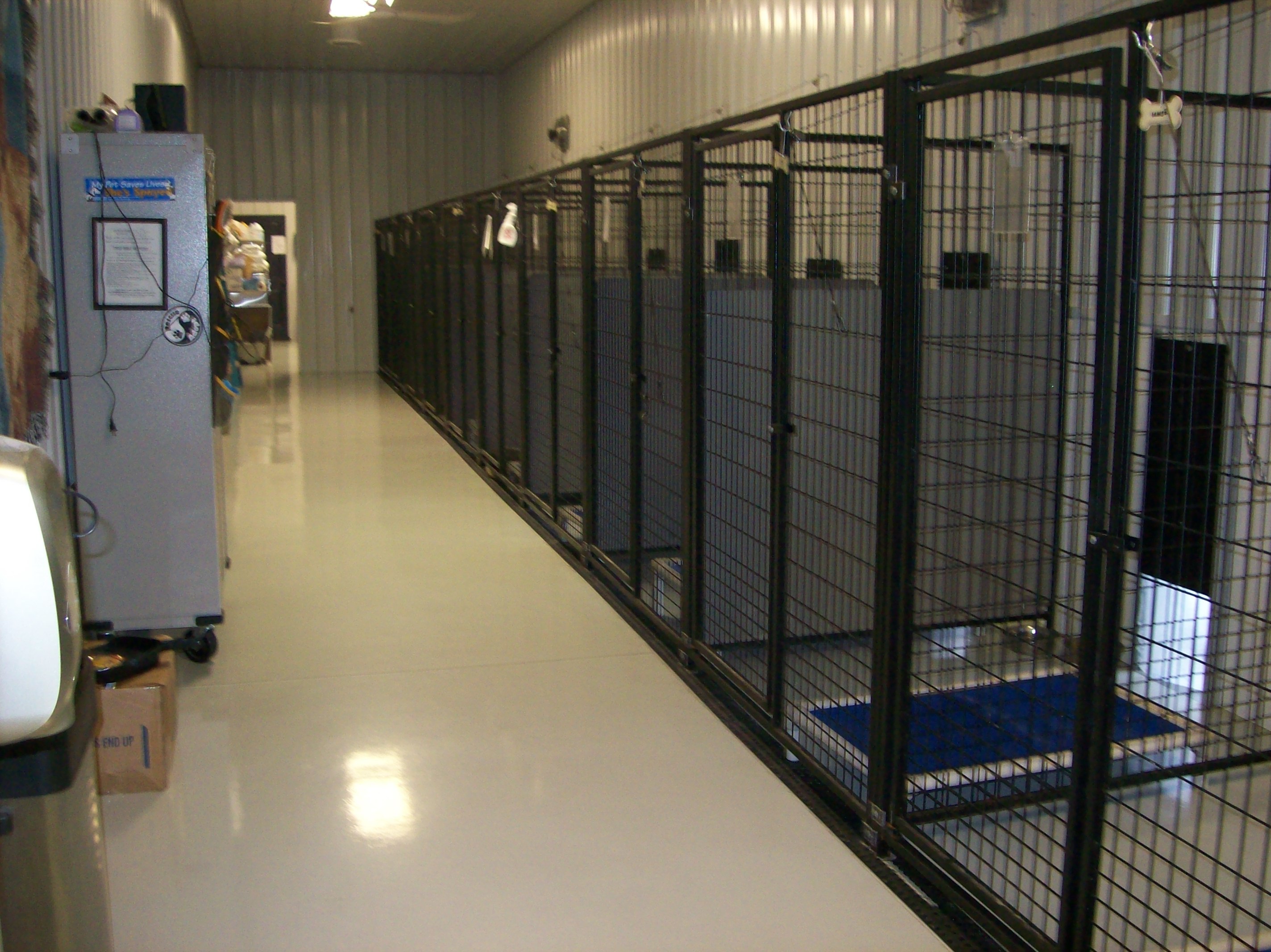 Pets for Adoption at Friends of the Ohio County Animal Shelter, in