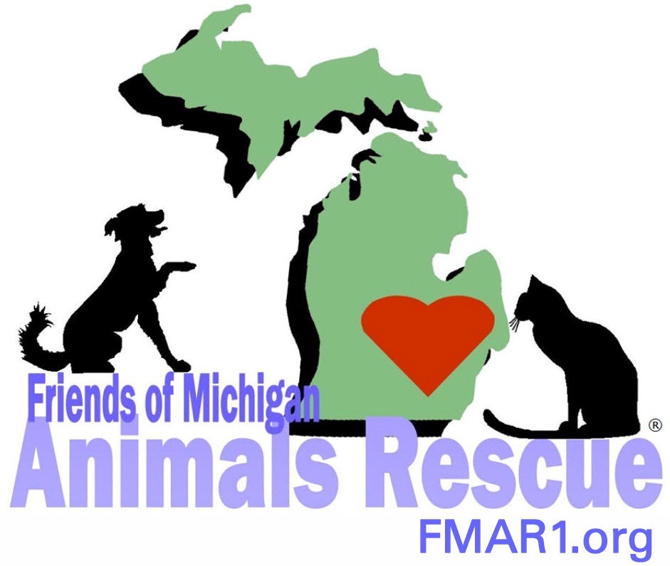 Pets for Adoption at Friends of Michigan Animals Rescue, in Belleville, MI Petfinder