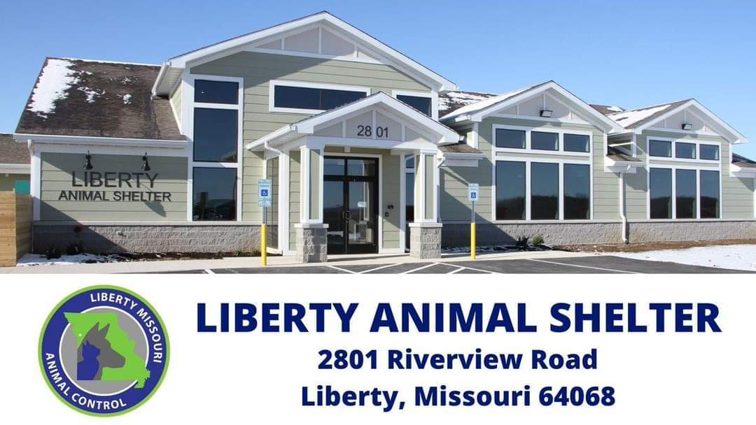 Pets for Adoption at Liberty Animal Shelter, in Liberty, MO Petfinder