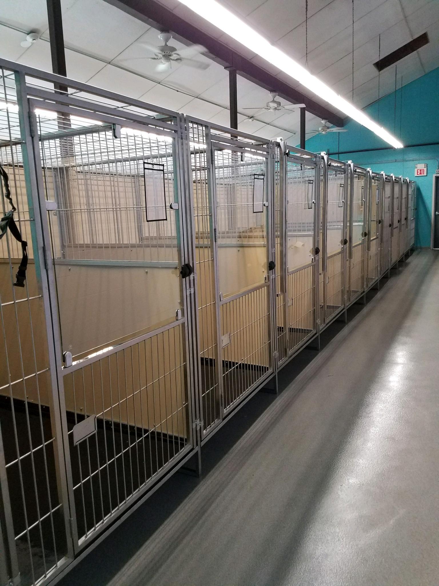 Pets for Adoption at Edison Municipal Animal Shelter, in Edison, NJ