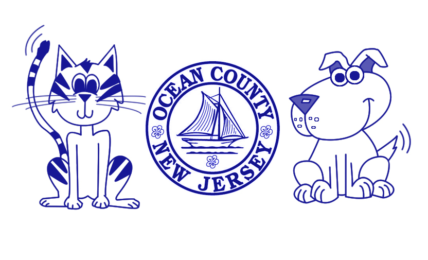 Pets for Adoption at Ocean County Animal Facility North