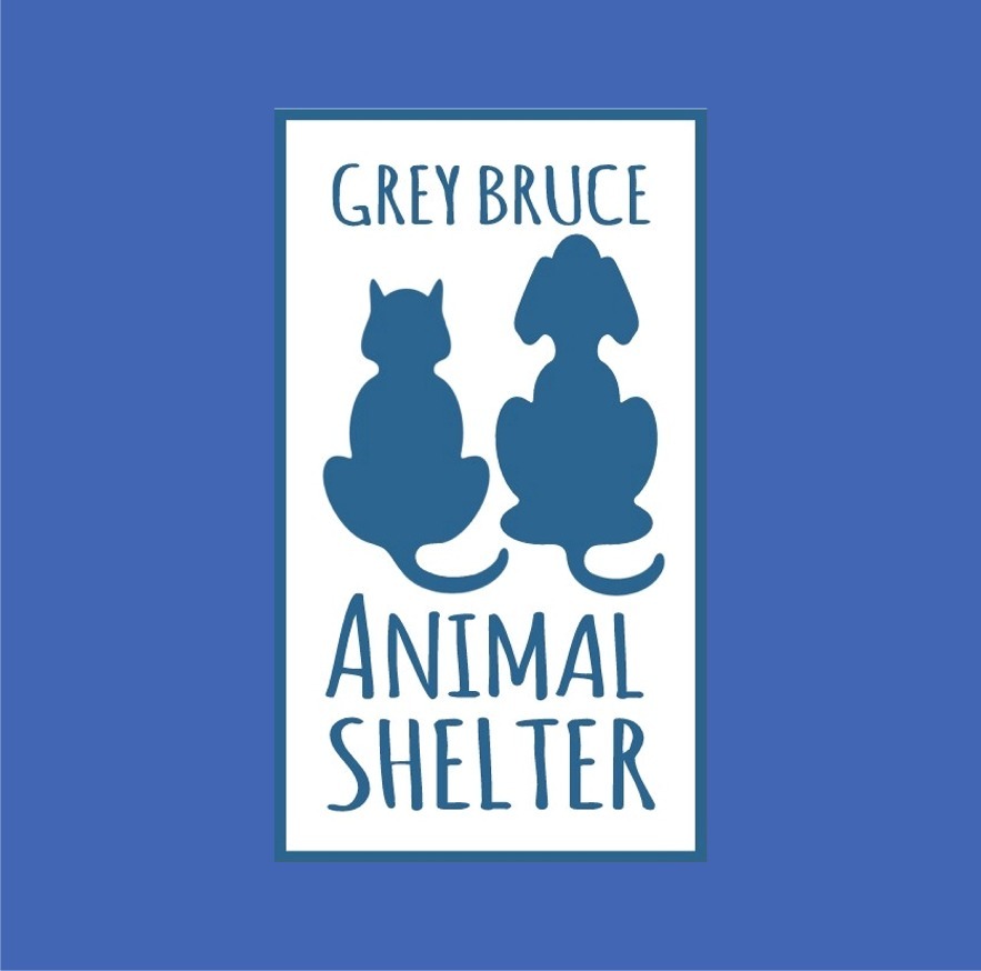 Pets for Adoption at Grey Bruce Animal Shelter, in Owen Sound, ON