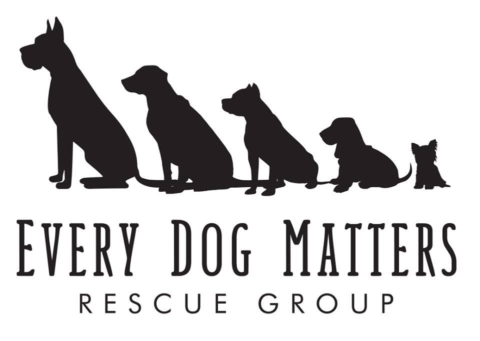 Pets for Adoption at Every Dog Matters Rescue Group, in Youngstown, OH