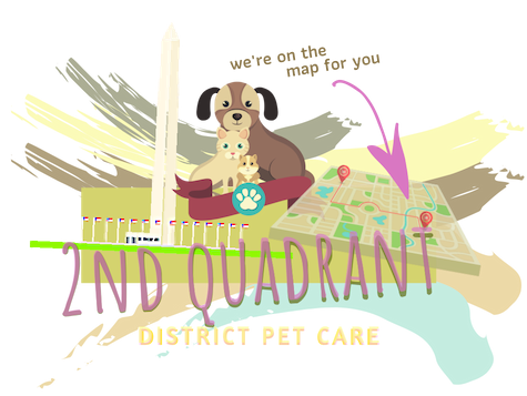 2nd Quadrant District Pet Care